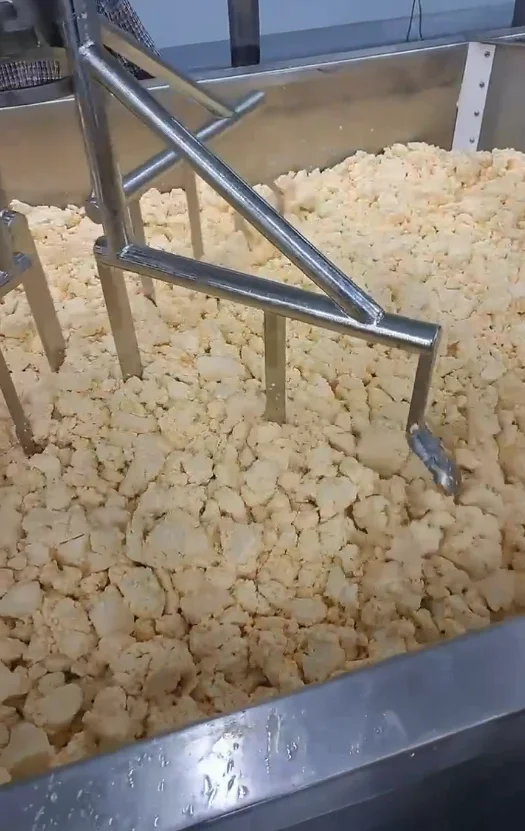 Finishing Vat — curd cutting and agitation process with mixer arm
